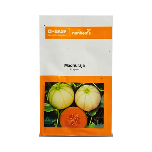 Madhuraja Muskmelon Seeds - Nunhems | F1 Hybrid | Buy Online at Best Price