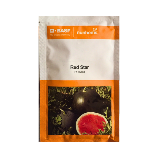 Red Star Watermelon Seeds - Nunhems | F1 Hybrid | Buy Online at Best Price