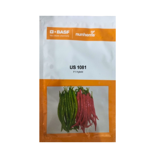 US 1081 Chilli Seeds - Nunhems | F1 Hybrid | Buy Online at Best Price