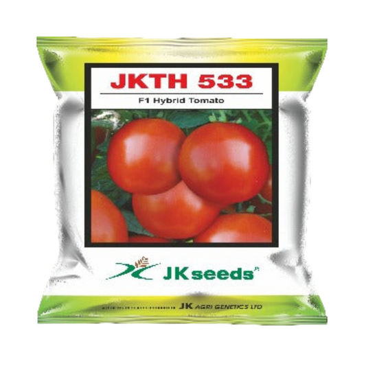 JKTH 533 Tomato Seeds (Oval) | F1 Hybrid | Buy Online at Best Price