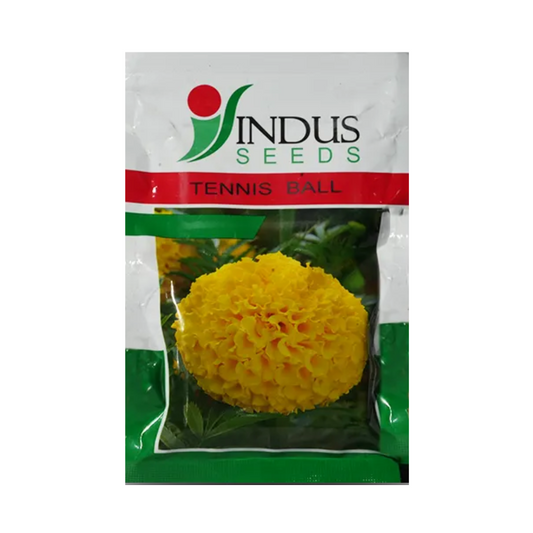 Tennis Ball Marigold Seeds - Indus | F1 Hybrid | Buy Online at Best Price