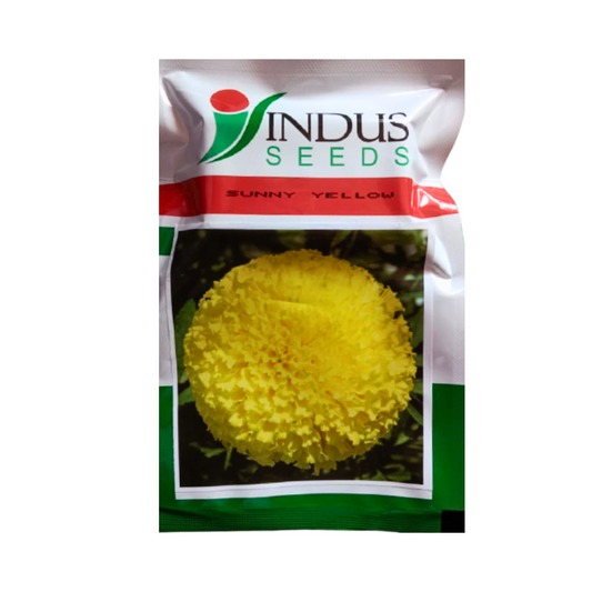 Sunny Yellow Marigold Seeds - Indus | F1 Hybrid | Buy Online at Best Price