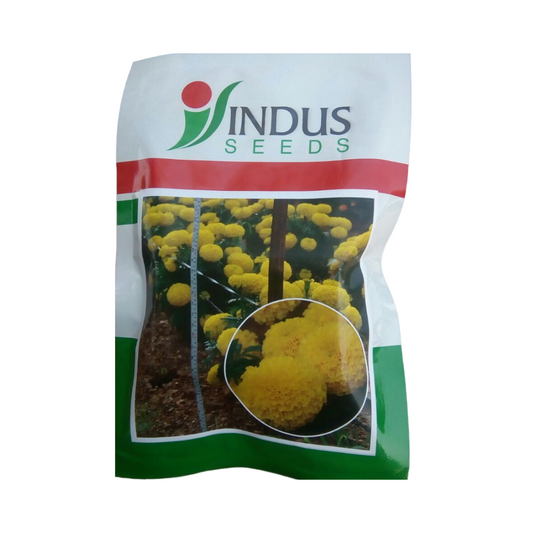 Sweet Yellow Marigold Seeds - Indus | F1 Hybrid | Buy Online at Best Price