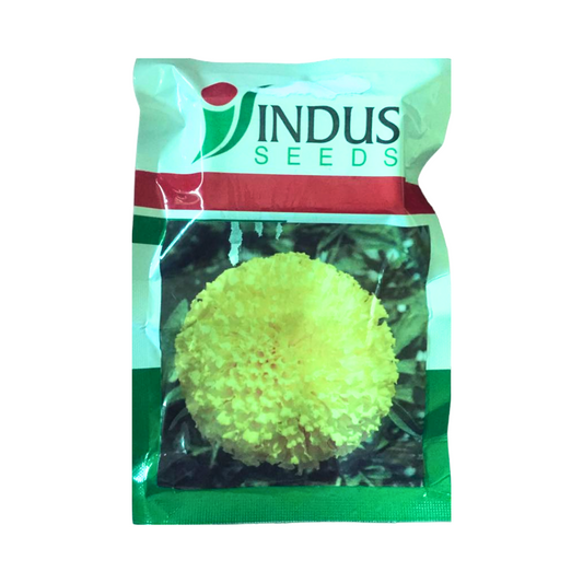 Tennis Ball Yellow Marigold Seeds - Indus | F1 Hybrid | Buy Online at Best Price