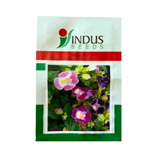 Torenia Pearl Mix Seeds - Indus | F1 Hybrid | Buy Online at Best Price