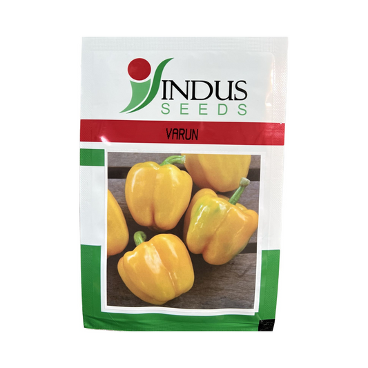 Varun Yellow Capsicum Seeds - Indus | F1 Hybrid | Buy Online at Best Price