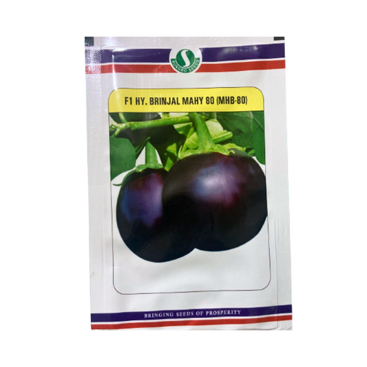 Mahy 80 (MHB 80) Brinjal Seeds - Sungro | F1 Hybrid | Buy Online at Best Price