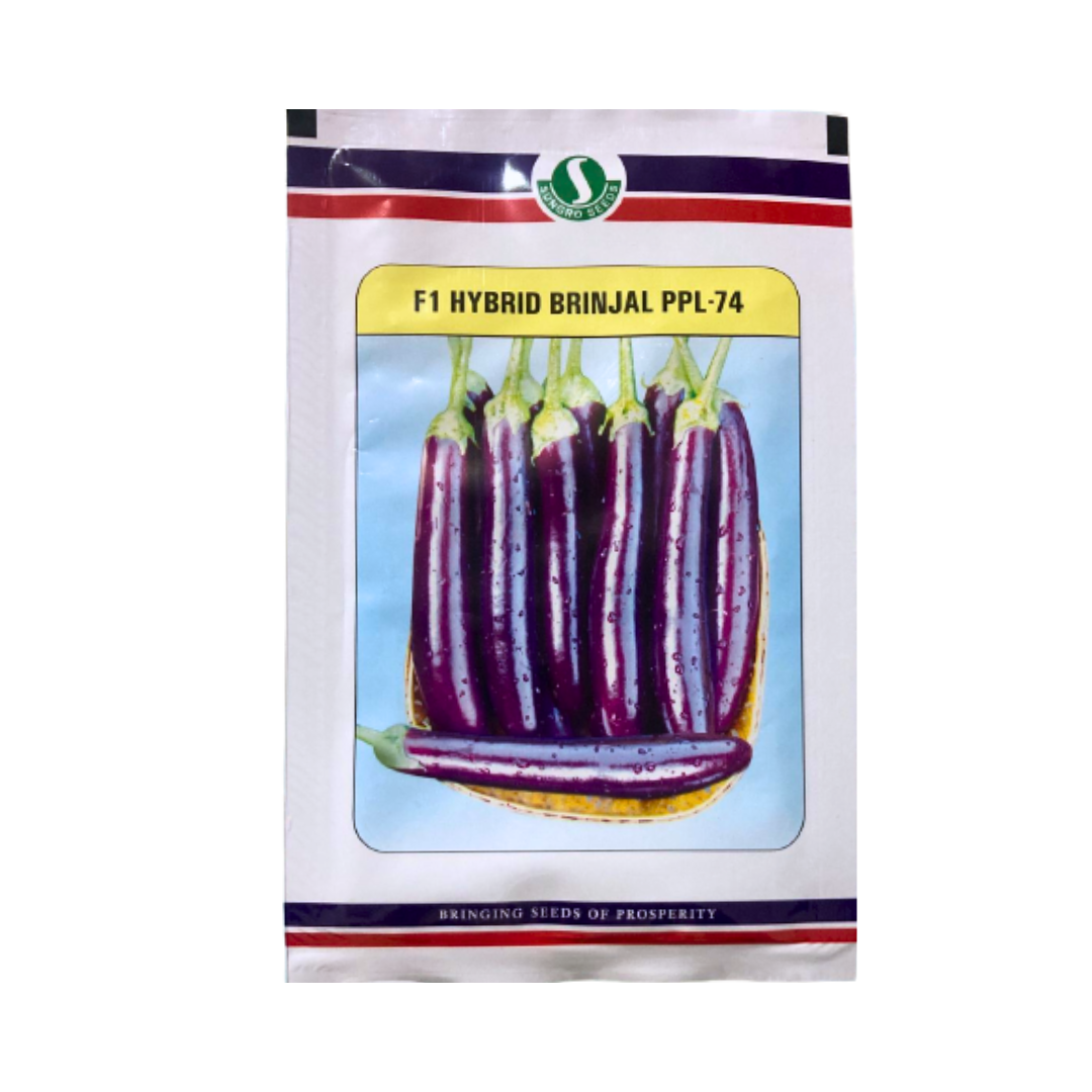 PPL - 74 Brinjal Seeds - Sungro | F1 Hybrid | Buy Online at Best Price