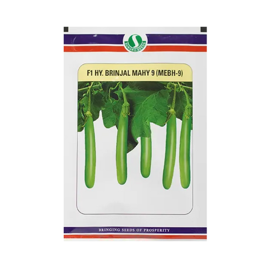 Mahy 9 (MEBH-9) Brinjal Seeds - Sungro | F1 Hybrid | Buy Online at Best Price