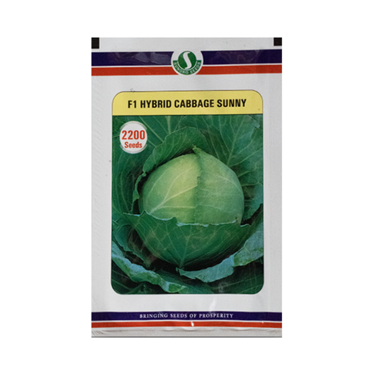 Sunny Cabbage Seeds - Sungro | F1 Hybrid | Buy Online at Best Price