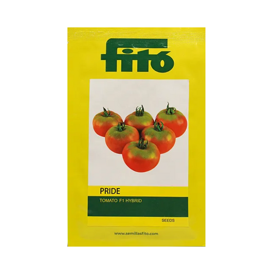 Pride Tomato Seeds - Fito | F1 Hybrid | Buy Online at Best Price