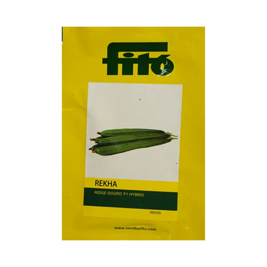 Rekha Ridgegourd Seeds - Fito | F1 Hybrid | Buy Online at Best Price