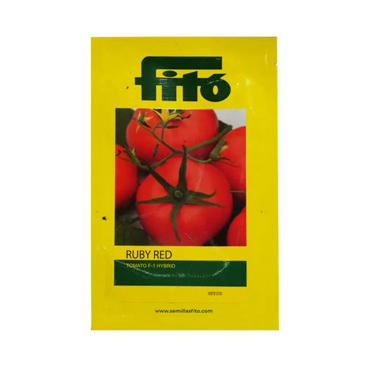Ruby Red Tomato Seeds - Fito | F1 Hybrid | Buy Online at Best Price