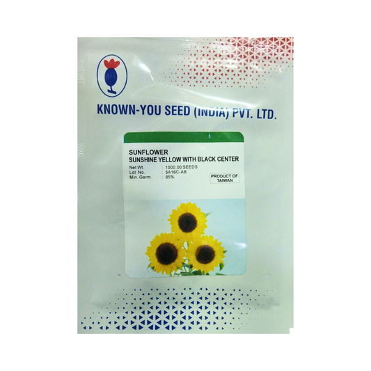 Ornamental Sunflower Sunshine seeds - Known You | F1 Hybrid | Buy Online at Best Price