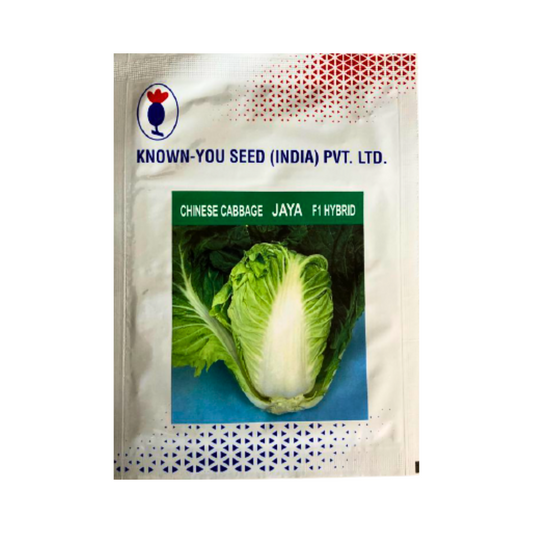 Jaya Chinese Cabbage Seeds - Known You | F1 Hybrid | Buy Online at Best Price