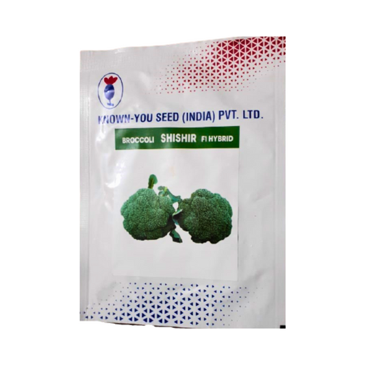 Shishir Broccoli Seeds - Known You | F1 Hybrid | Buy Online at Best Price