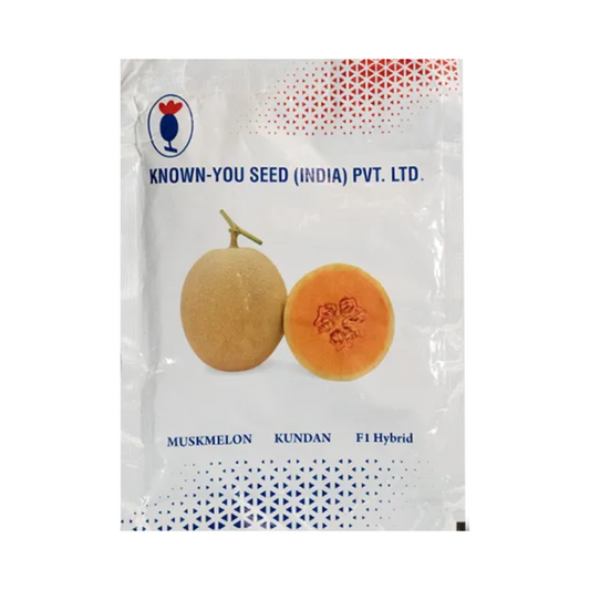 Kundan Muskmelon Seeds - Known You | F1 Hybrid | Buy Online at Best Price
