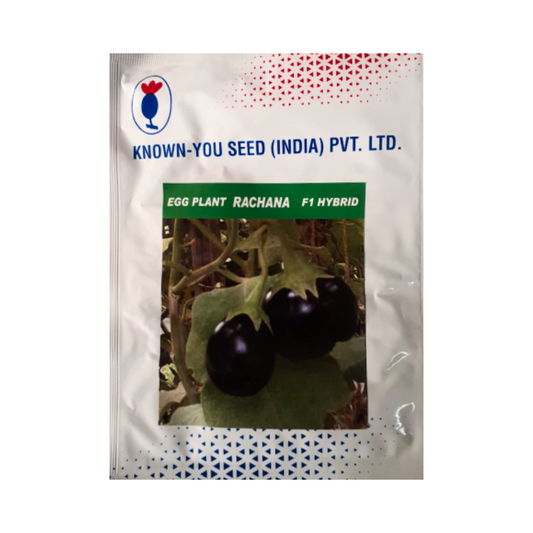 Rachana Brinjal Seeds - Known You | F1 Hybrid | Buy Online at Best Price