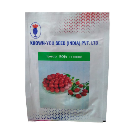 Roja Cherry Tomato Seeds - Known You | F1 Hybrid | Buy Online at Best Price