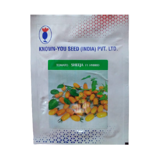 Sheeja Cherry Tomato Seeds - Known You | F1 Hybrid | Buy Online at Best Price