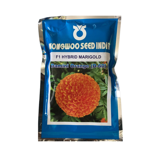 Damini Orange (D 60) Marigold Seeds - Nongwoo | F1 Hybrid | Buy Online at Best Price