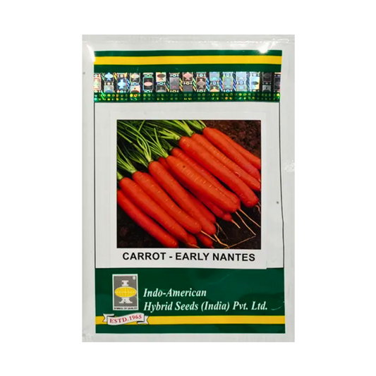Carrot Early Nantes Seeds - Indo American | F1 Hybrid | Buy Online at Best Price
