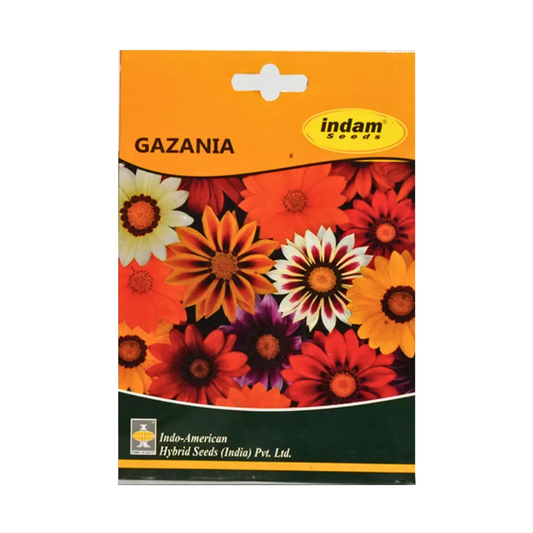 Gazania Seeds - Indo American | F1 Hybrid | Buy Online at Best Price