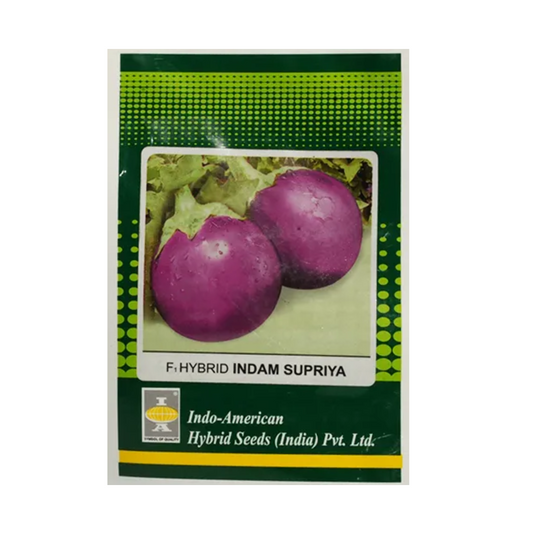 Indam Supriya Brinjal Seeds - Indo American | F1 Hybrid | Buy Online at Best Price