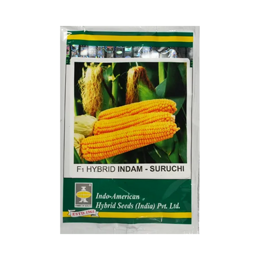 Suruchi Sweet Corn Seeds - Indo American | F1 Hybrid | Buy Online at Best Price