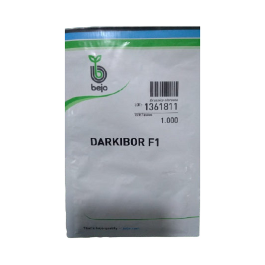 Darkibor Kale Seeds - Bejo | F1 Hybrid | Buy Online at Best Price
