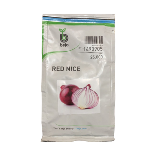 Red Nice Onion Seeds - Bejo | F1 Hybrid | Buy Online at Best Price