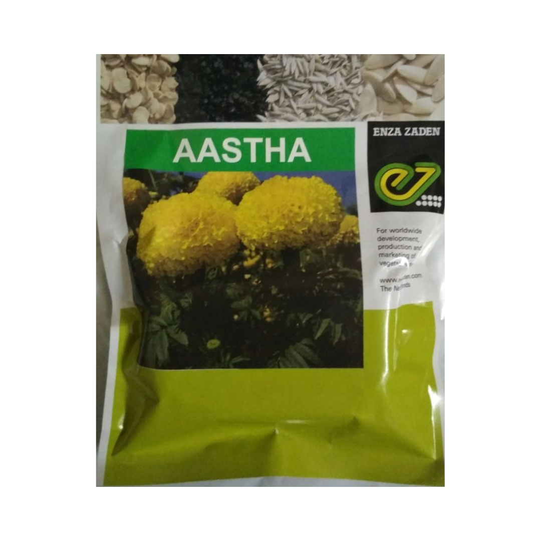 Aastha Marigold Seeds - Enza Zaden | F1 Hybrid | Buy Online at Best Price