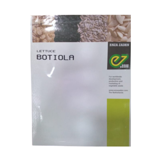 Botiola Lettuce Seeds - Enza Zaden | F1 Hybrid | Buy Online at Best Price