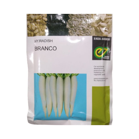 Branco Radish Seeds -Enza Zaden | F1 Hybrid | Buy Online at Best Price