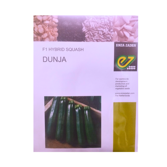 Dunja Zucchini Seeds - Enza Zaden | F1 Hybrid | Buy Online at Best Price