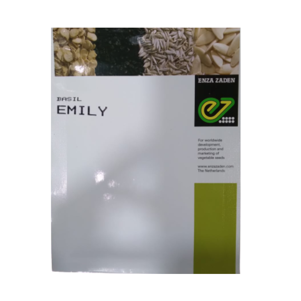 Emily Basil Seeds - Enza Zaden | F1 Hybrid | Buy Online at Best Price