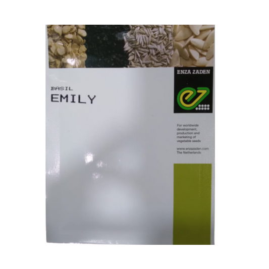 Emily Basil Seeds - Enza Zaden | F1 Hybrid | Buy Online at Best Price