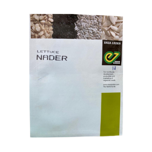 Nader Lettuce Seeds -Enza Zaden | F1 Hybrid | Buy Online at Best Price