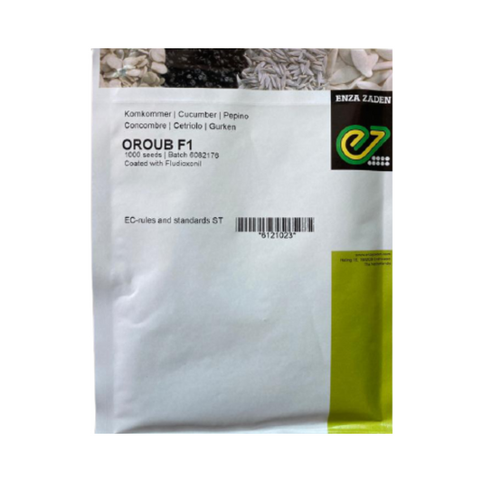 Oroub Cucumber Seeds - Enza Zaden | F1 Hybrid | Buy Online at Best Price