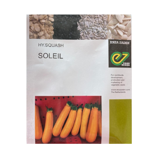 Soleil Zucchini Seeds - Enza Zaden | F1 Hybrid | Buy Online at Best Price