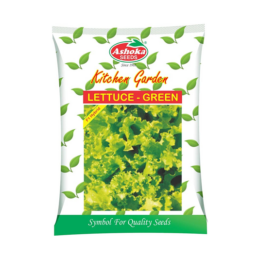 Green Lettuce Seeds - Ashoka | F1 Hybrid | Buy Online at Best Price