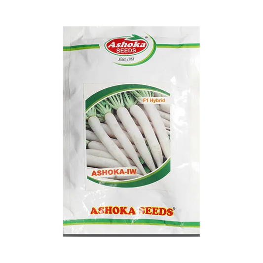 Ivory White Radish Seeds - Ashoka | F1 Hybrid | Buy Online at Best Price