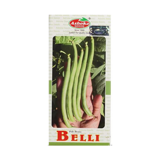 Pole Belli Beans Seeds - Ashoka | F1 Hybrid | Buy Online at Best Price