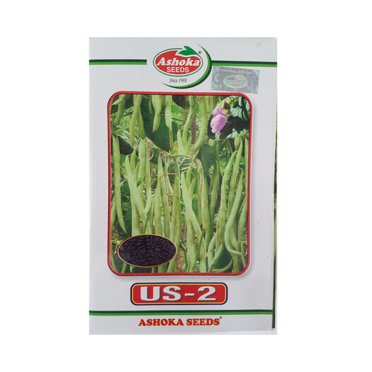 US 2 Pole Beans Seeds - Ashoka | F1 Hybrid | Buy Online at Best Price