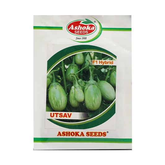 Utsav Brinjal Seeds- Ashoka | F1 Hybrid | Buy Online at Best Price