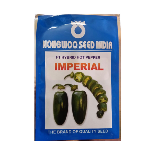 Imperial Jalapeno Hot Pepper Seeds - Nongwoo | F1 Hybrid | Buy Online at Best Price