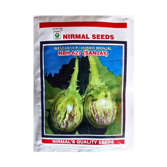 NBH 627 (Sanjay) Brinjal seeds - Nirmal | F1 Hybrid | Buy Online at Best Price