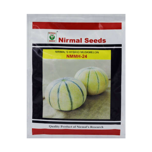 NMMH-24 Muskmelon Seeds -Nirmal | F1 Hybrid | Buy Online at Best Price