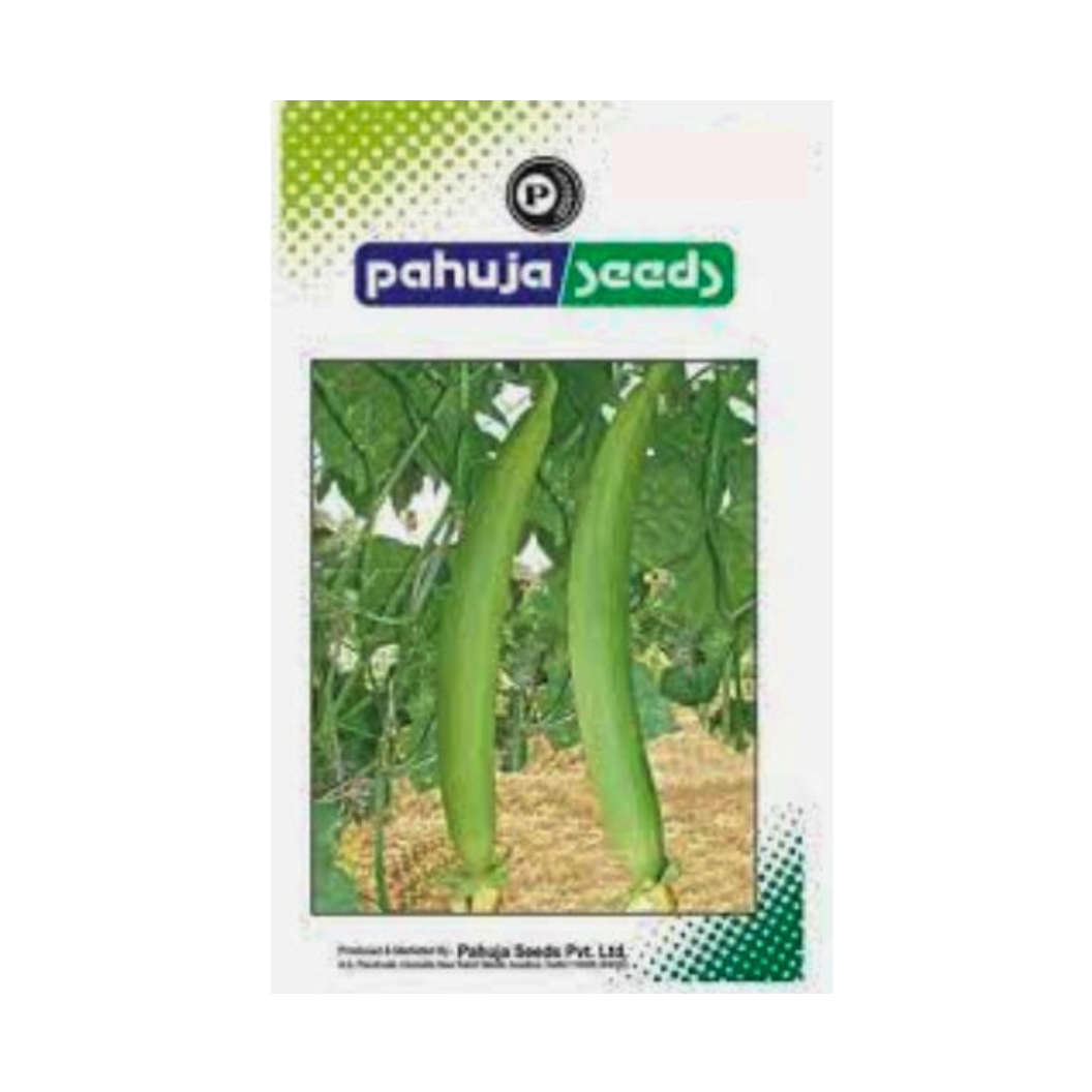 Lakshmi Sponge Gourd Seeds - Pahuja | F1 Hybrid | Buy Online at Best Price