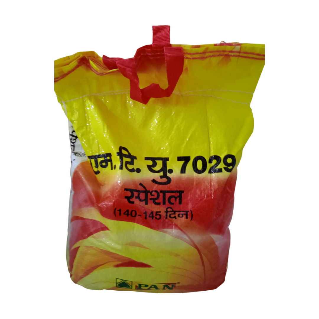 Pan MTU – 7029 (Mansuri Paddy) | F1 Hybrid | Buy Online at Best Price